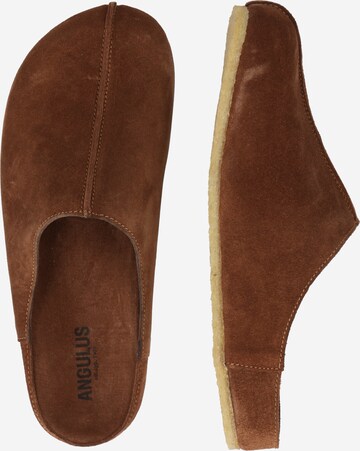 ANGULUS Slippers in Brown