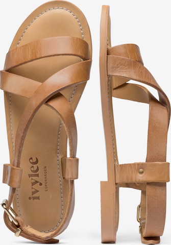 Ivylee Copenhagen Sandals 'Laura Escuvado' in Brown