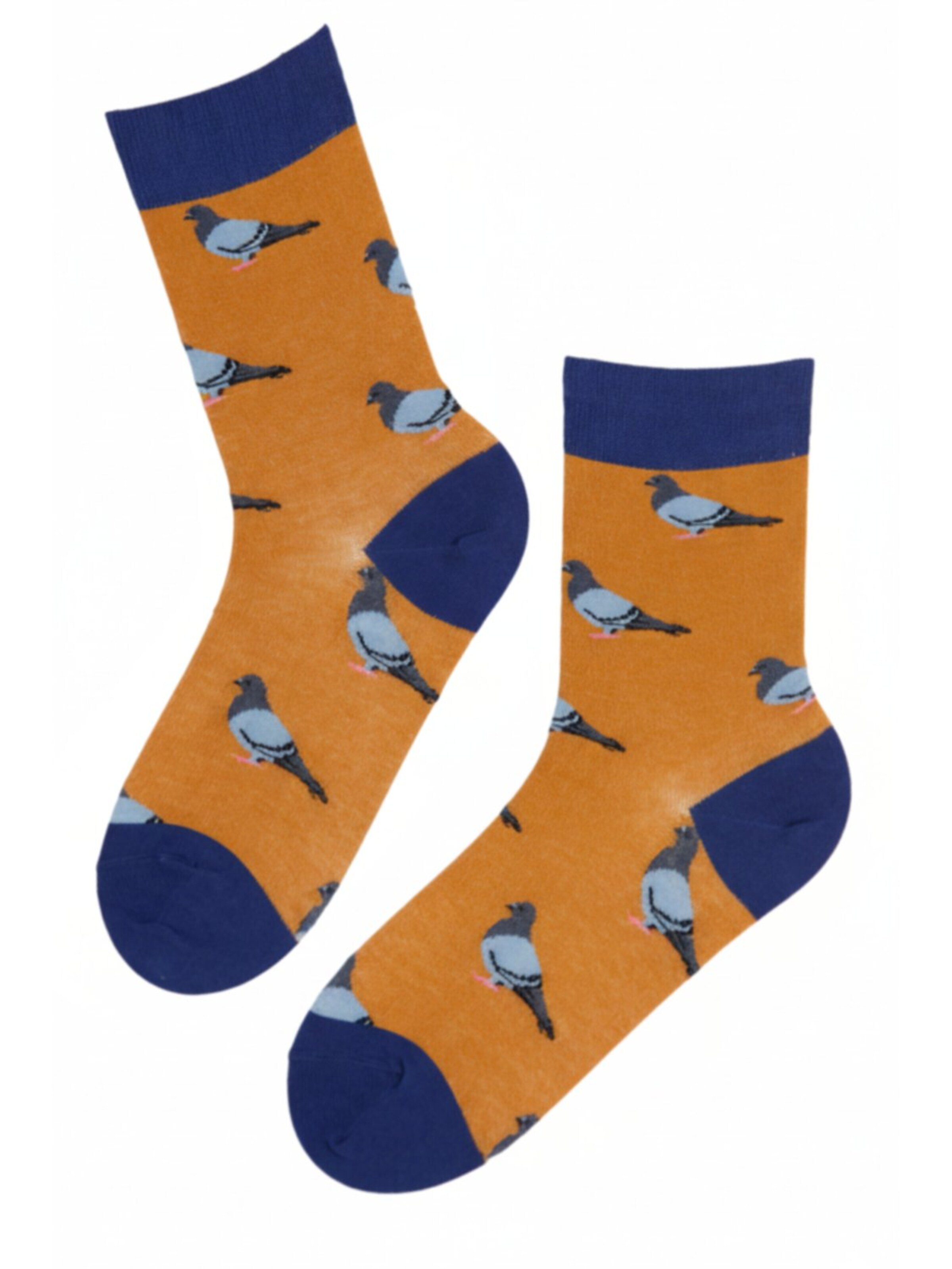 Sokisahtel Socks 'PIGEON cotton socks' in Yellow: front