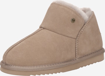 Warmbat Sisäkengät värissä harmaa: etupuoli