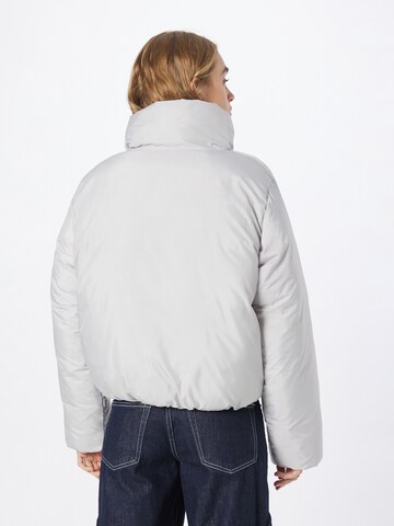 WEEKDAY Winter Jacket 'Dino' in Grey