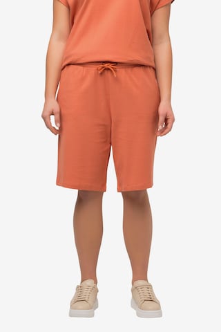 Ulla Popken Regular Shorts  (GOTS) in Orange: predná strana