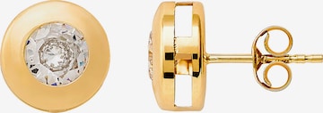 XENOX Earrings in Gold: front