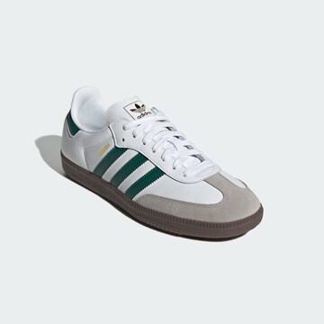 ADIDAS ORIGINALS Низкие кроссовки 'Samba OG' в Белый