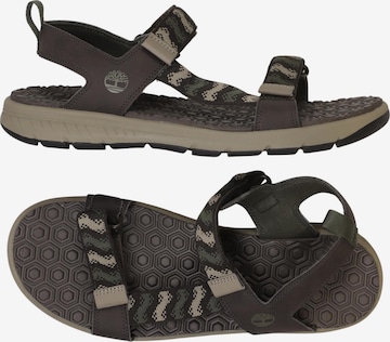 TIMBERLAND Sandalen 45 in Grau: Vorderseite