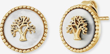 Engelsrufer Earrings in Gold: front