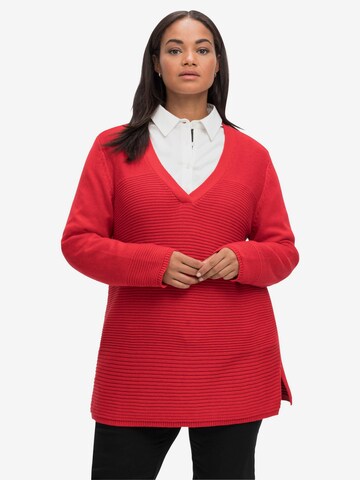 SHEEGO Sweater in Red: front