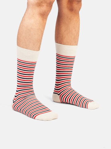 Chaussettes 'French Riviera' DillySocks en mélange de couleurs : devant