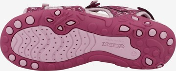 GEOX Sandals & Slippers 'Whinberry' in Pink