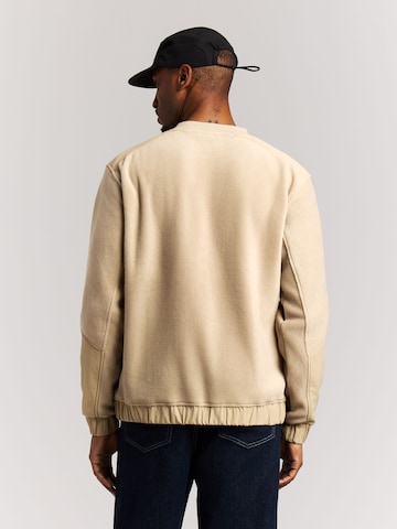 PROTEST Pullover 'PRTKeenan'‌‌‌‌‌‌‌‌‌ in Braun