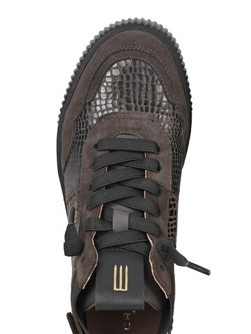 Crickit High-top trainers ' UMA ' in Brown