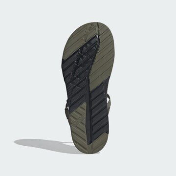 ADIDAS TERREX Sandal 'Hydroterra' in Green