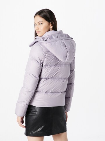 Calvin Klein Jeans Winter jacket in Purple