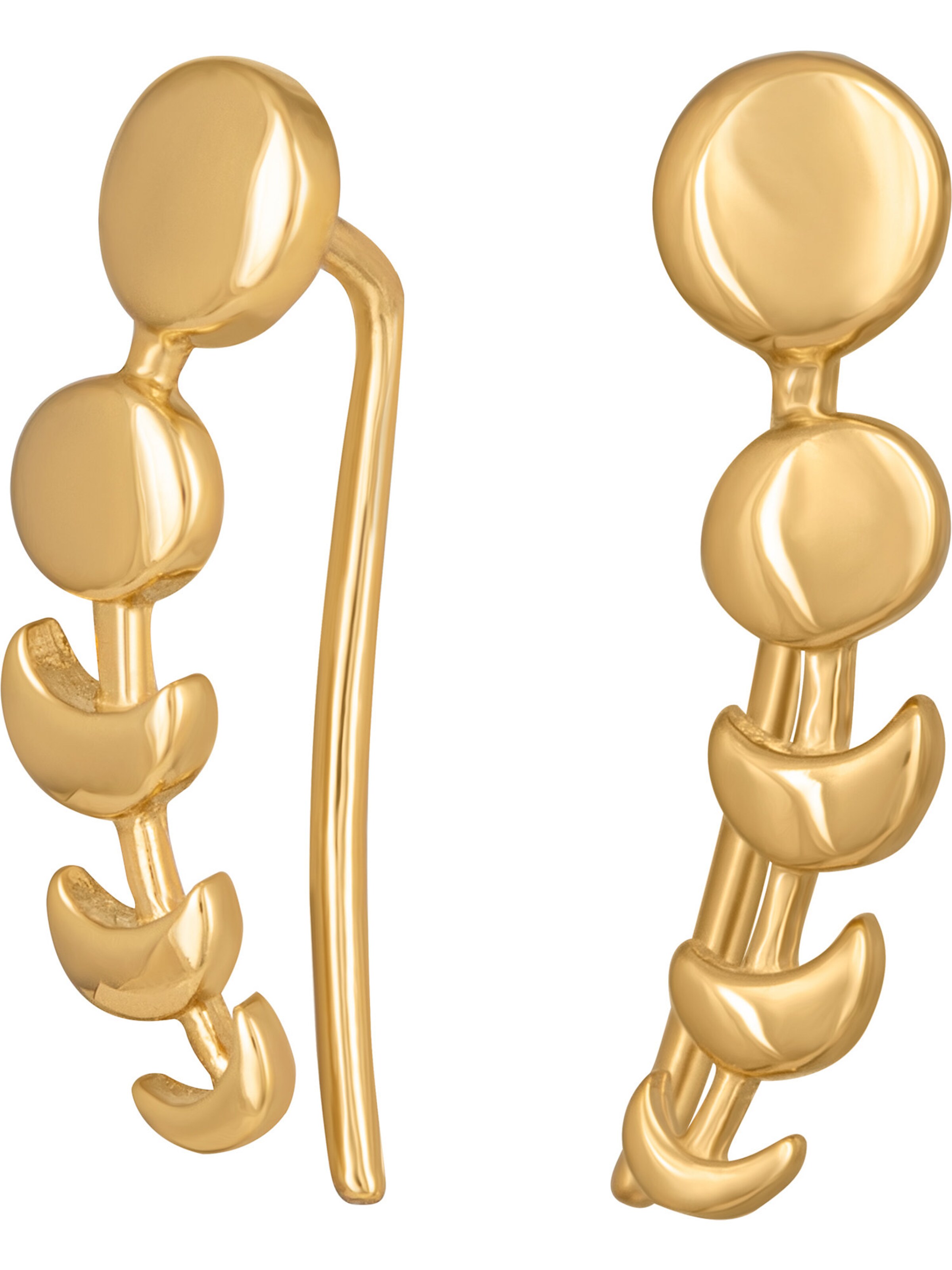 caï Ohrringe in Gold: Vorderseite