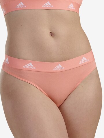 ADIDAS SPORTSWEAR Tanga ' Active Comfort Cotton ' in Grau: predná strana