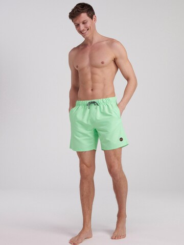 Shiwi Board Shorts in Green