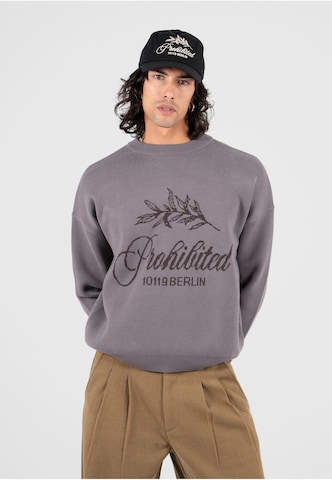 Prohibited Pullover in Grau: Vorderseite