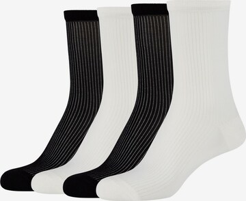 camano Socks in Black: front