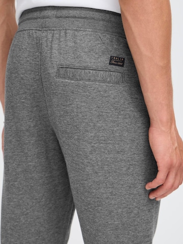 !Solid Regular Sweathose 'Augulus' in Grau