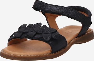 Froddo Sandals 'LORE FLOWERS' in Blue: front