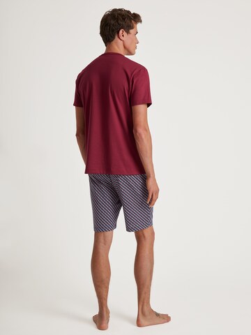 CALIDA Pajama short in Red