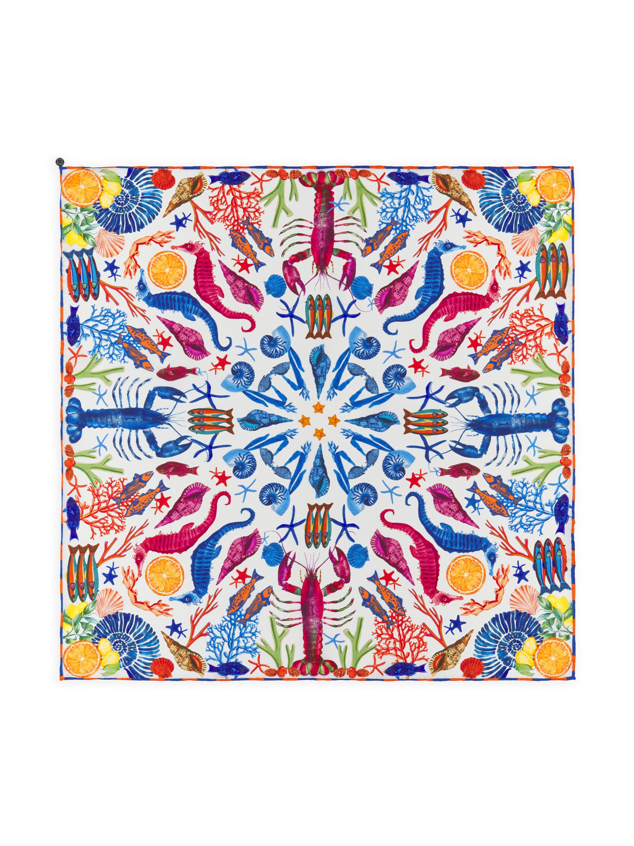 Foulard CODELLO en bleu : devant