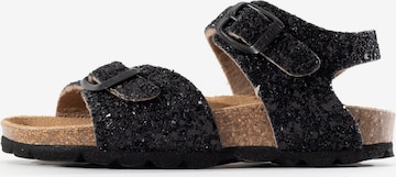 Sandalo 'Pegase' di Bayton in nero: frontale