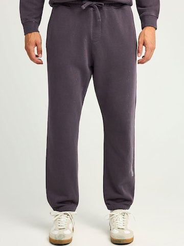 Funky Buddha Tapered Hose in Lila: Vorderseite