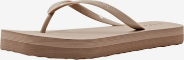 ESPRIT T-Bar Sandals in Brown: front