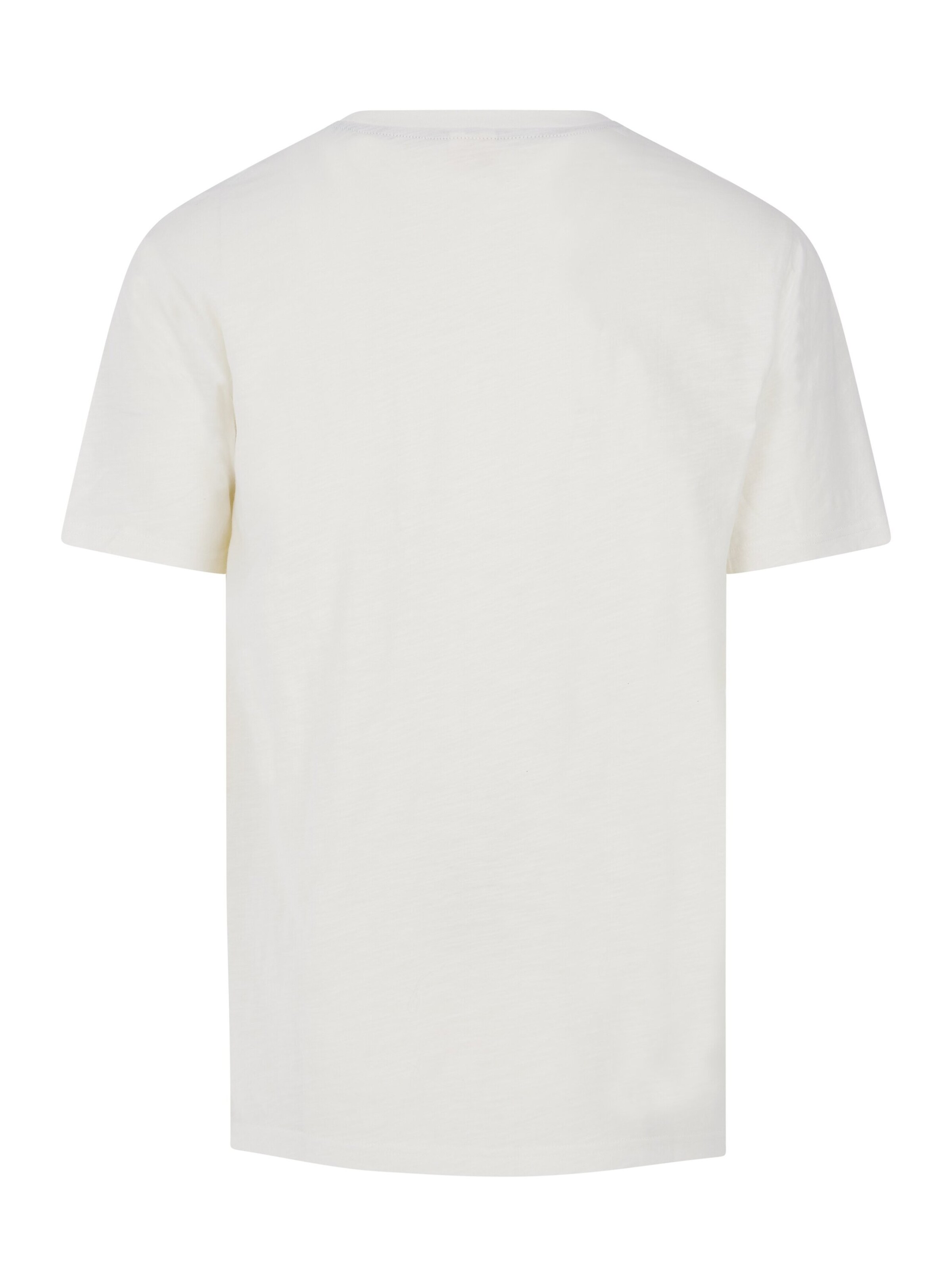 PROTEST Shirt 'PRTPLECO' in Wit