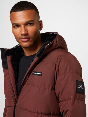 HOLLISTER Winter Jacket in Brown