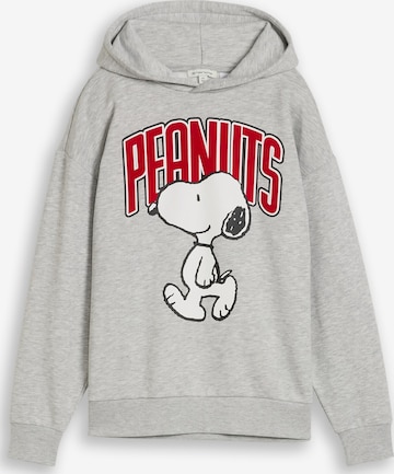 Sweat 'Peanuts' TOM TAILOR en gris : devant