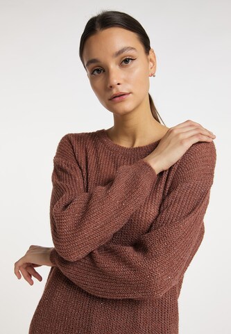 usha BLACK LABEL Sweater in Pink