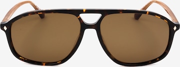 Occhiali da sole 'WE0338' di Web Eyewear in marrone: frontale