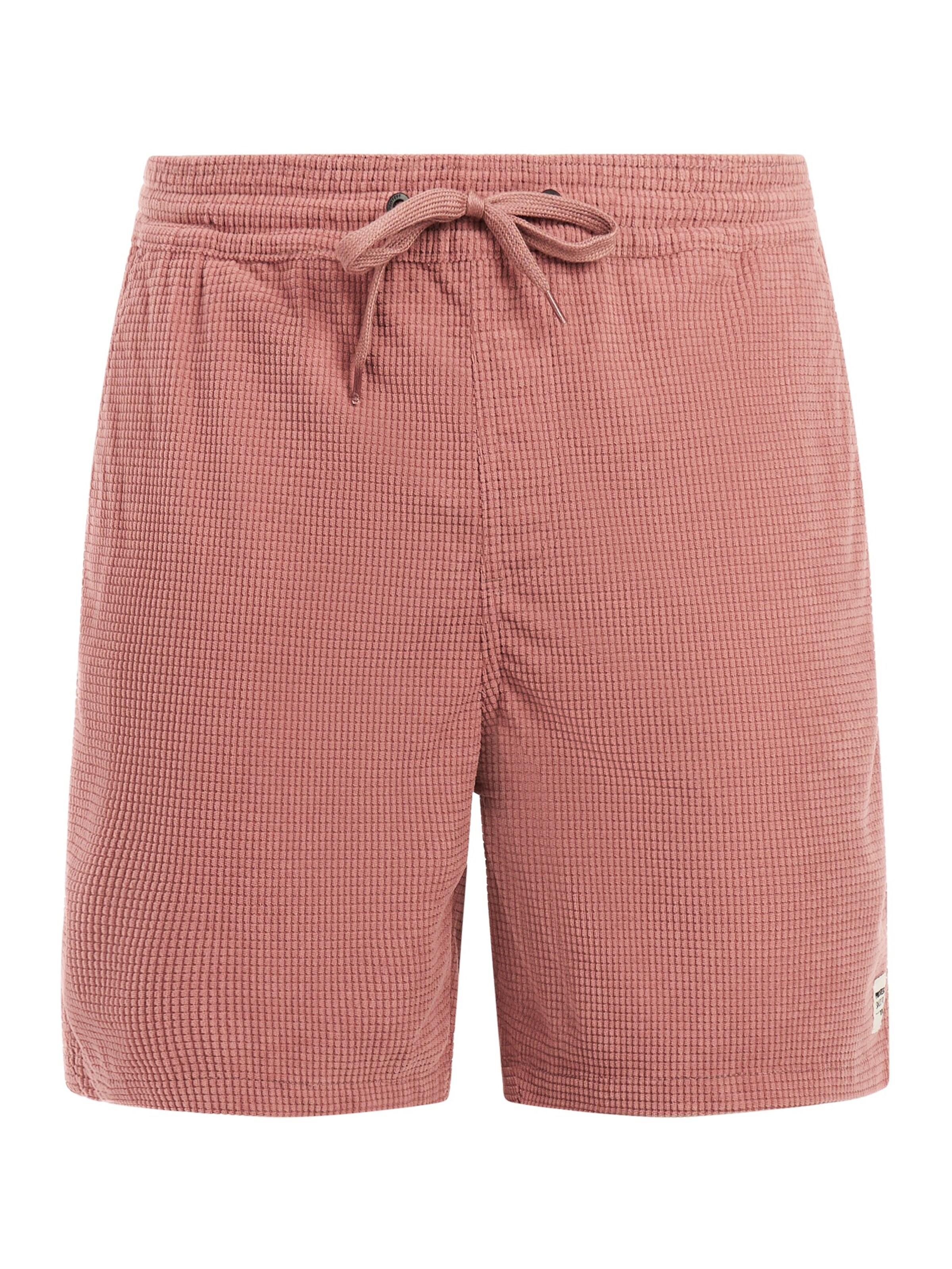 PROTEST Regular Pants 'PRTBairro' in Purple: front