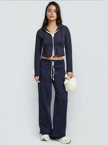 Hiccup Wide leg Broek in Blauw