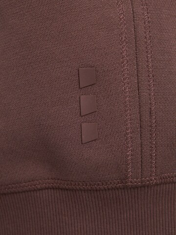 CHASIN' Sweatshirt 'Ryder' in Brown