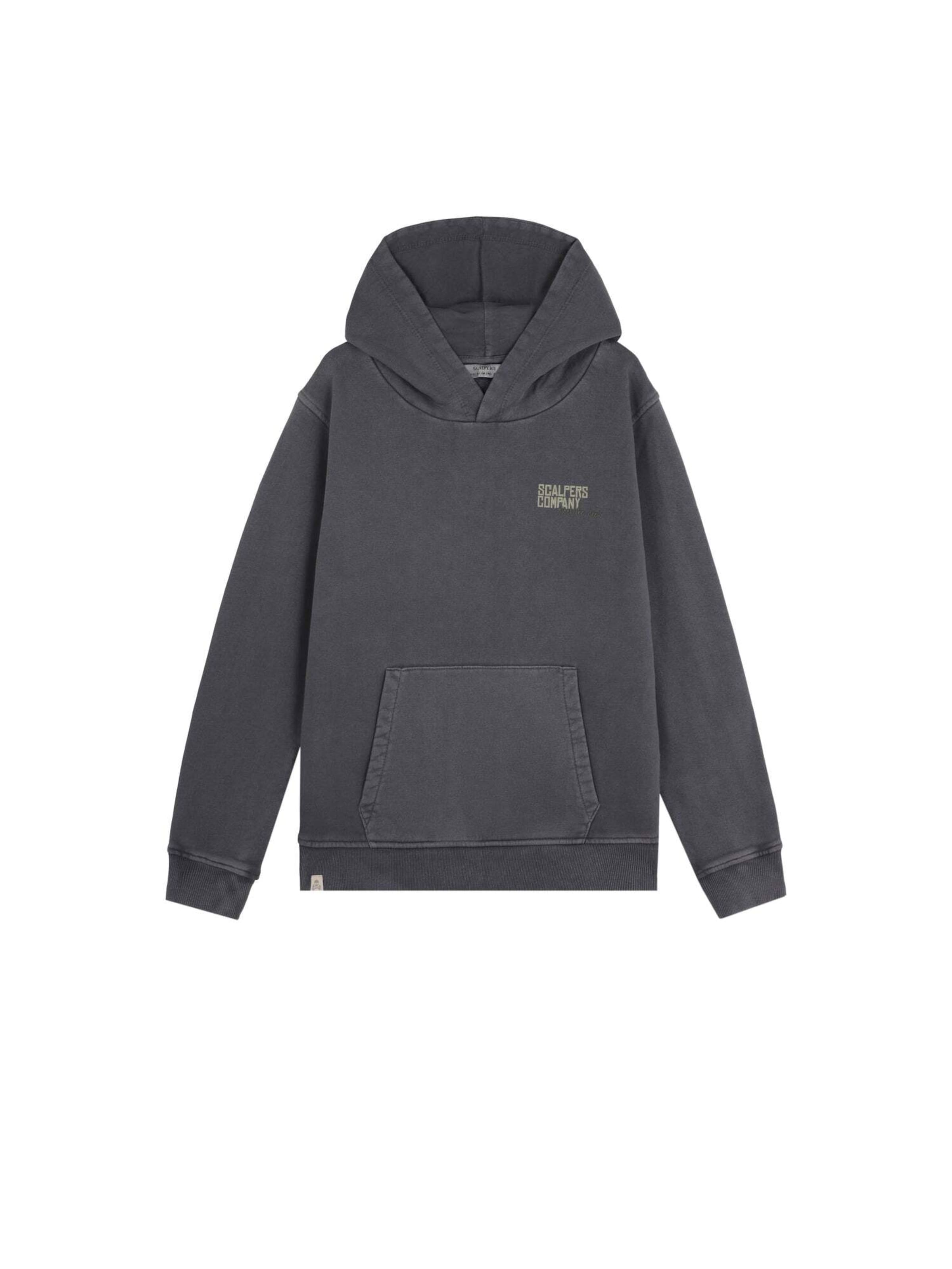 Scalpers Sweatshirt 'Typeskull' i grå: forside