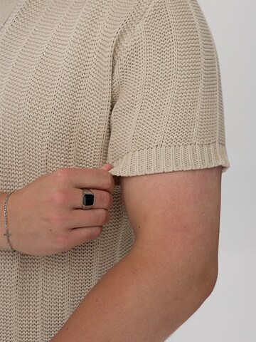 Dxnmxrk Sweater 'DXFardden' in Grey