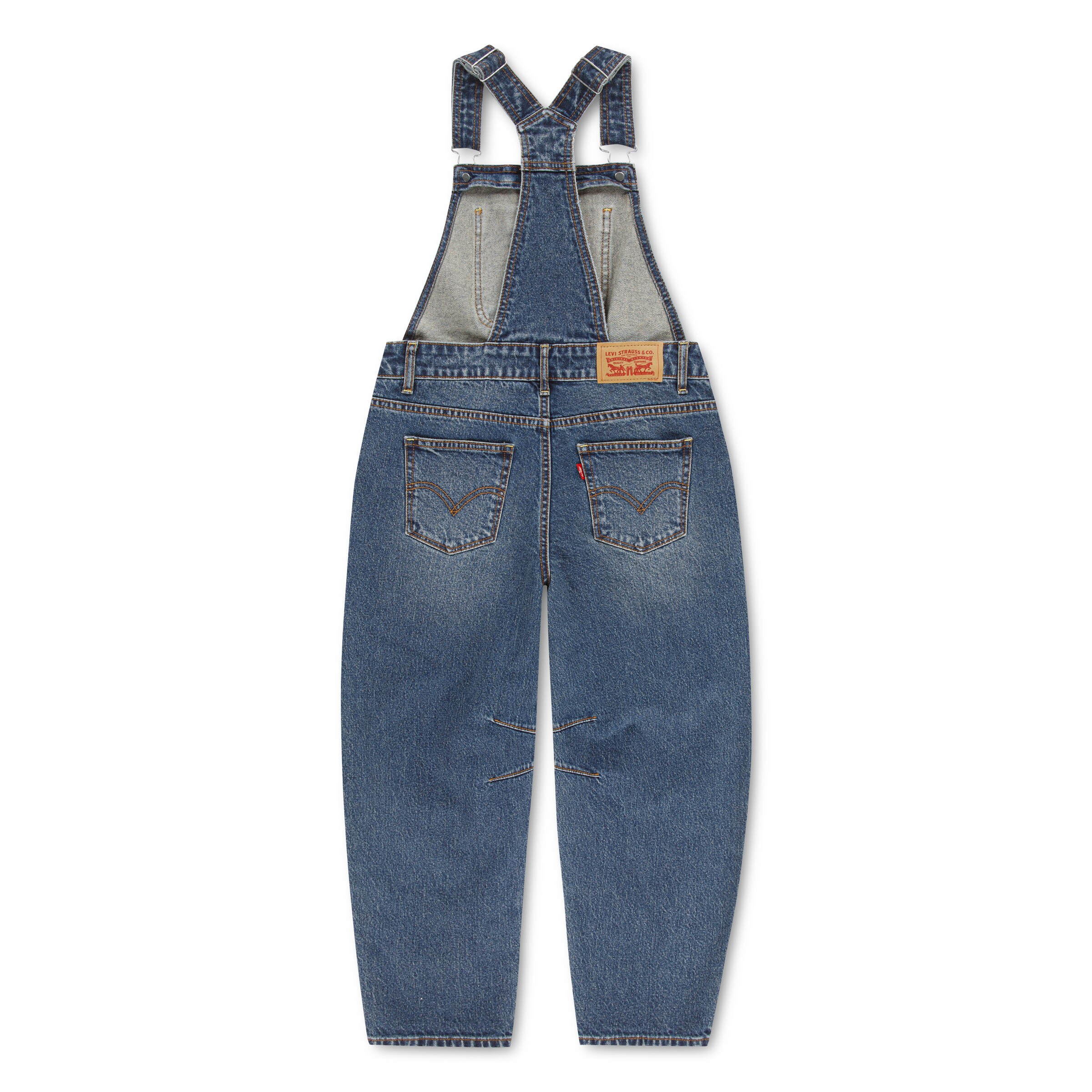 Levi's Kids Regular Overalls in Blue