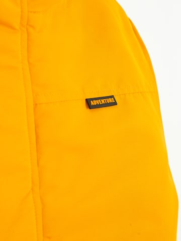 geltona Cool Club Demisezoninė striukė