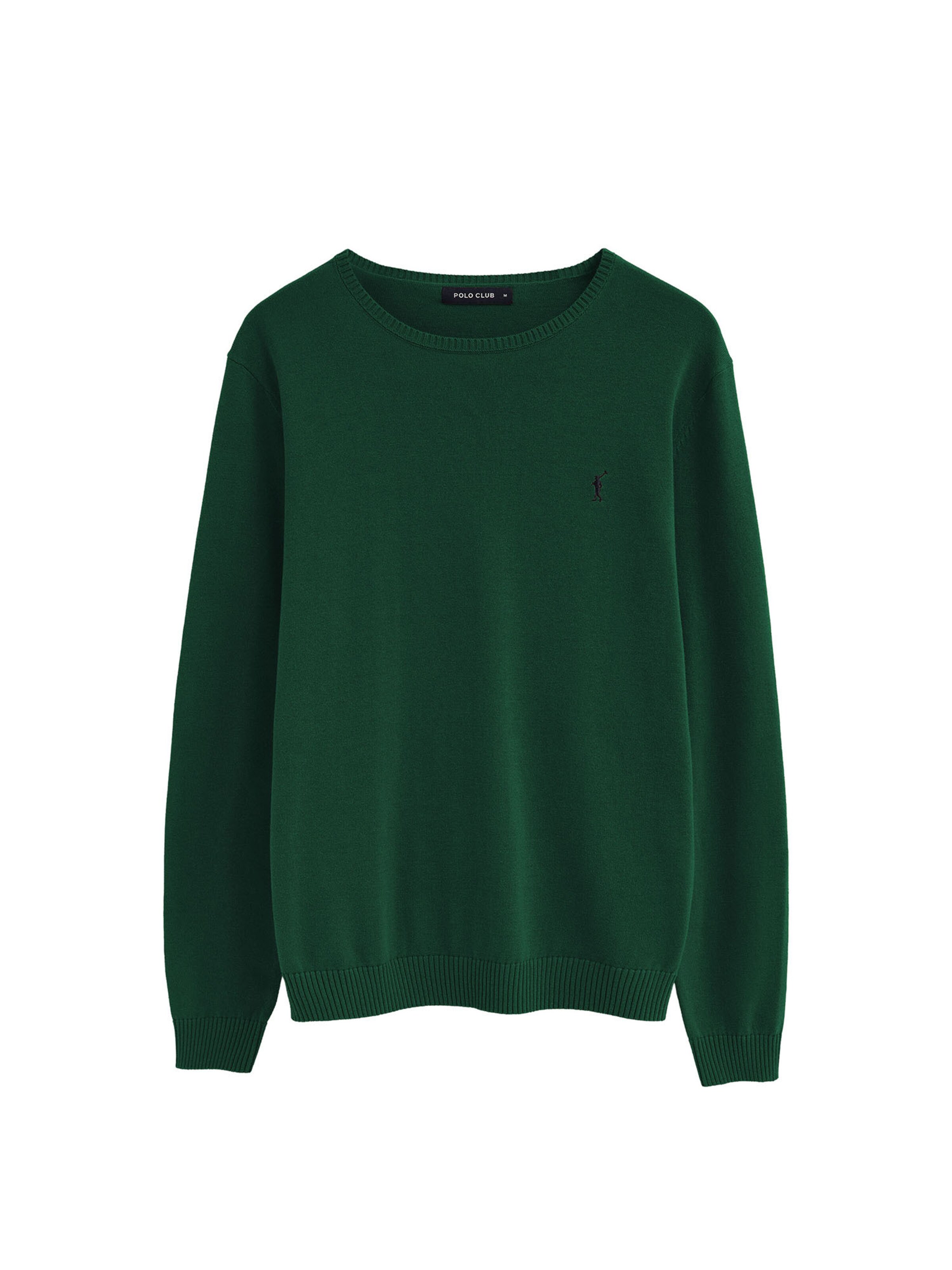Polo Club Pullover in Grün: Vorderseite