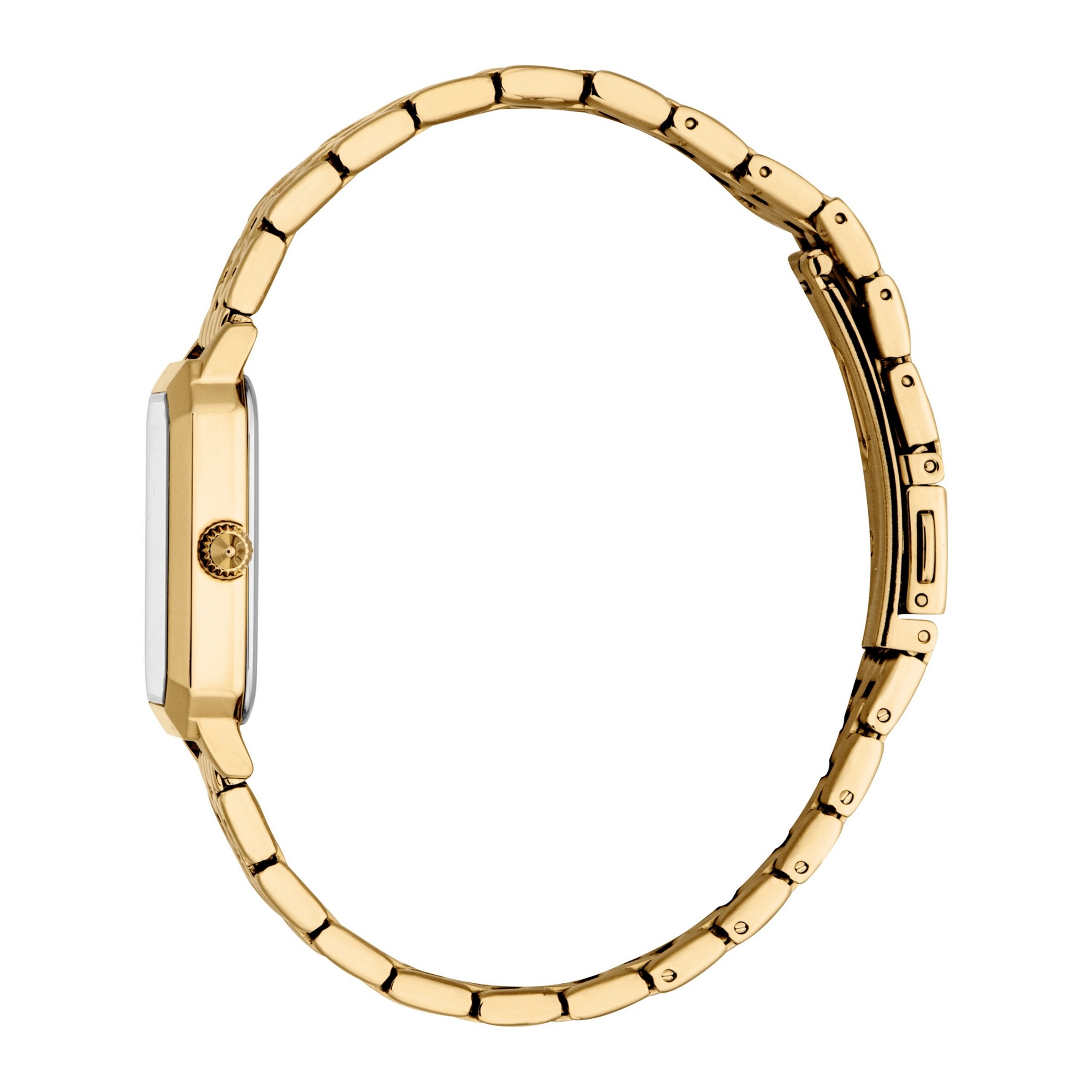 Just Cavalli Time Analog Watch in Gold