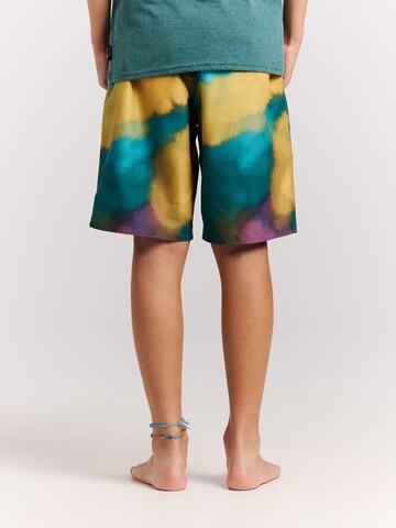 Shorts de bain 'PRTEmil JR' PROTEST en vert