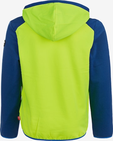 ZigZag Sweatshirt 'FINK' in Groen