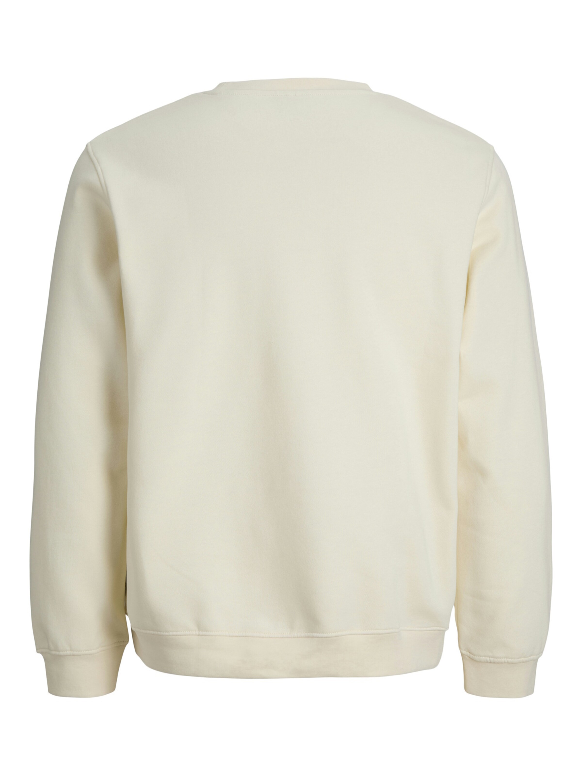 Jack & Jones Junior Sweatshirt 'Tier' in Beige