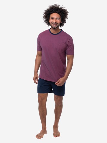 Ammann Pyjama kort 'Night & Home Cotton' in Gemengde kleuren