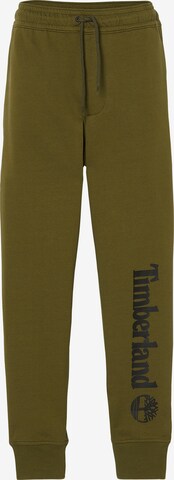 TIMBERLAND Pants in Green: front