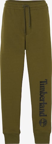 TIMBERLAND Loose fit Pants in Green: front