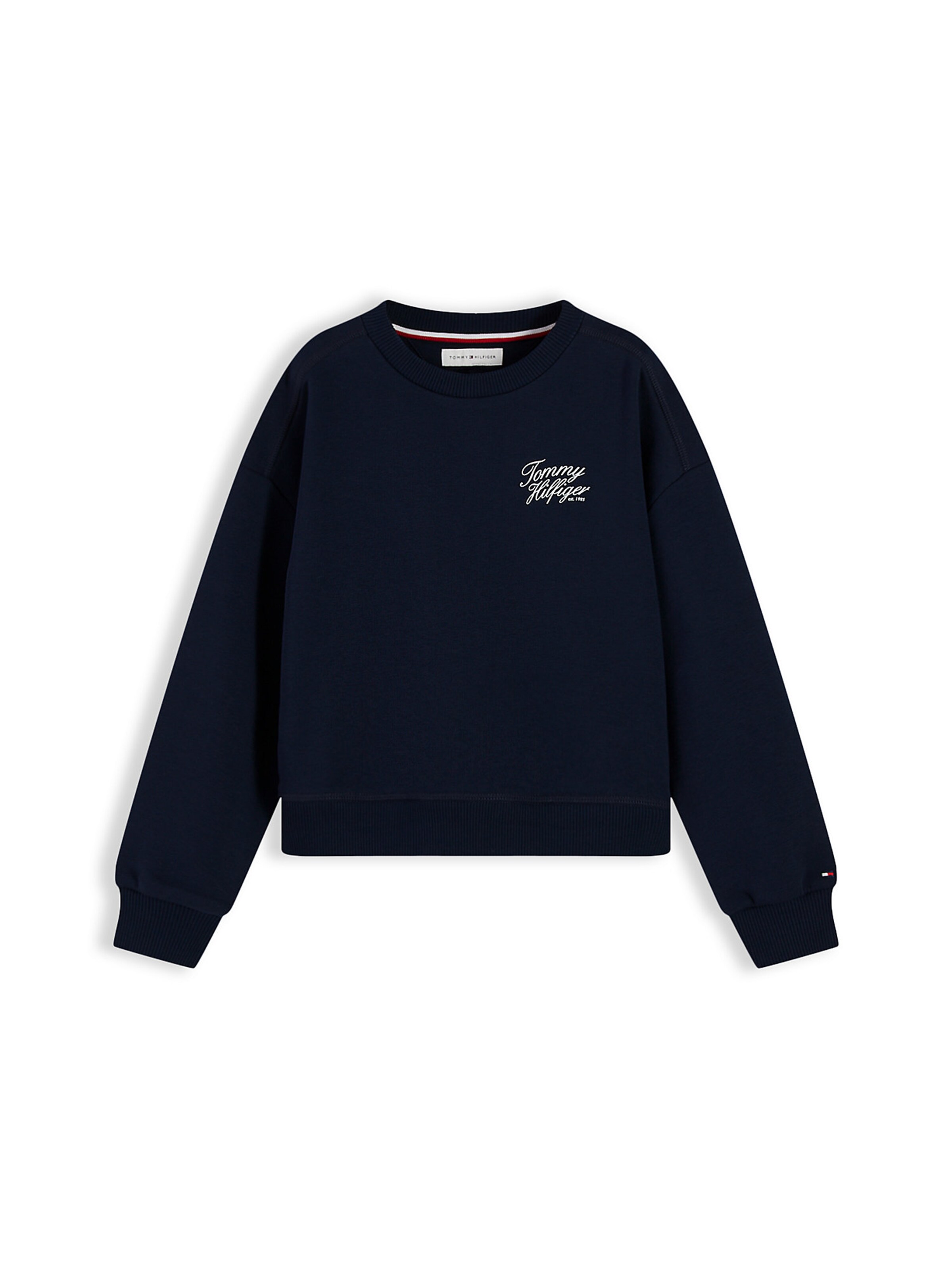 Sweat-shirt TOMMY HILFIGER en bleu : devant